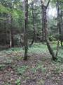 0 Bouchouxville Road - Photo 1