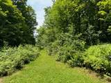 Lot 8 Valley View Drive - Photo 18