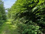Lot 8 Valley View Drive - Photo 19