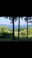0 Silsbee Road - Photo 15