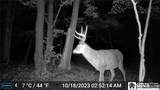 13669 Jennings Road - Photo 40