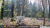 13669 Jennings Road - Photo 41