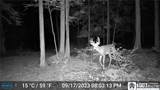 13669 Jennings Road - Photo 42