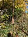 160 Straub Road - Photo 7