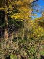 160 Straub Road - Photo 8