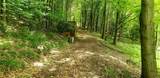3458 Betty Brook Road - Photo 7