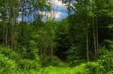 00 Yahn Road - Photo 10