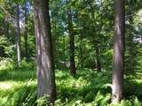 00 Yahn Road - Photo 29