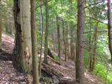 00 Yahn Road - Photo 32