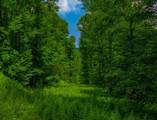 00 Yahn Road - Photo 8