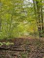 #0 Swamp Road - Photo 5