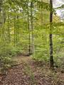 #0 Swamp Road - Photo 6