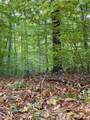 #0 Swamp Road - Photo 8