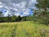 Lot 1 Greenbush Road - Photo 10