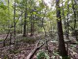 Lot 1 Greenbush Road - Photo 16