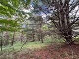 Lot 1 Greenbush Road - Photo 2