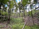 Lot 1 Greenbush Road - Photo 7