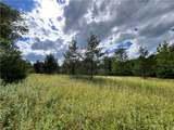Lot 1 Greenbush Road - Photo 9