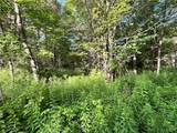 Lot 5 Greenbush Road - Photo 11