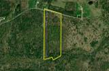 Lot 5 Greenbush Road - Photo 12