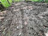 Lot 5 Greenbush Road - Photo 6