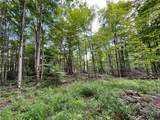 Lot 6 Greenbush Road - Photo 10