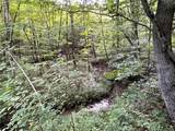 Lot 6 Greenbush Road - Photo 16