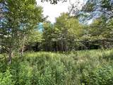 Lot 6 Greenbush Road - Photo 4