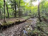 Lot 6 Greenbush Road - Photo 6