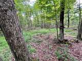 Lot 6 Greenbush Road - Photo 7