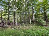 Lot 6 Greenbush Road - Photo 8