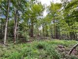 Lot 6 Greenbush Road - Photo 9