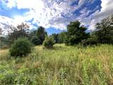 Lot 7 Greenbush Road - Photo 4