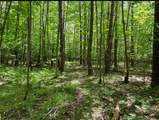 11496 Short Track Road - Photo 4