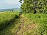 1408 County Highway 25 - Photo 41