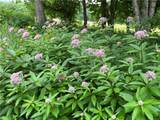 74 Fusscas Road - Photo 16