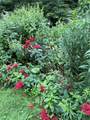 74 Fusscas Road - Photo 17