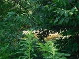 15 Clymer Street - Photo 15