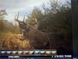 4585 Putnam Road - Photo 14
