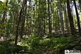 0 Farrington Hollow - Photo 15