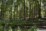 0 Farrington Hollow - Photo 23