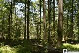 0 Farrington Hollow - Photo 32