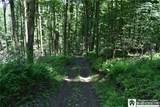 0 Farrington Hollow - Photo 38