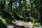0 Farrington Hollow - Photo 8