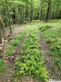 2630 Zimmer Road - Photo 10