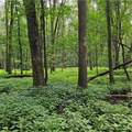 11727 Bentley Road - Photo 19