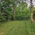 11727 Bentley Road - Photo 8