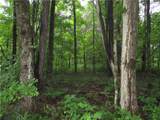 334 County Road 47 - Photo 3