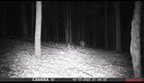 0 Lyons Hollow Road - Photo 9