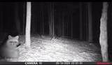 0 Lyons Hollow Road - Photo 10